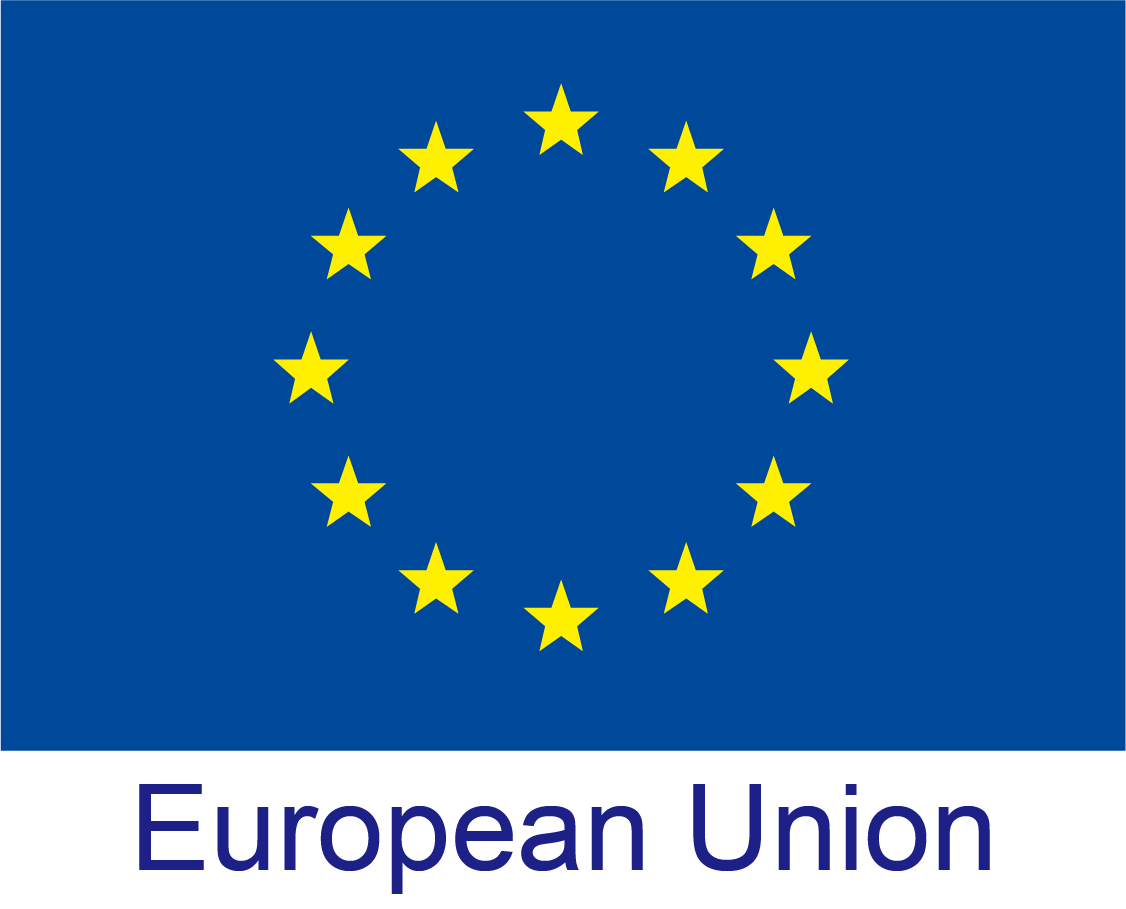 EU Logo